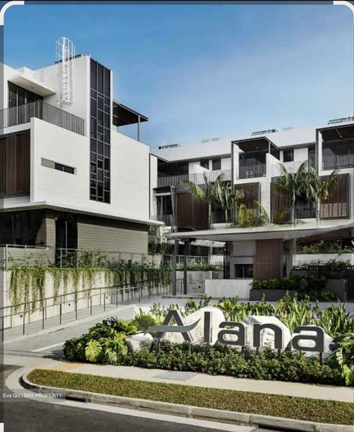 Alana (D28), Terrace #497771181